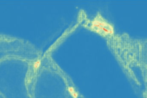 Earth observation imagery with annotations