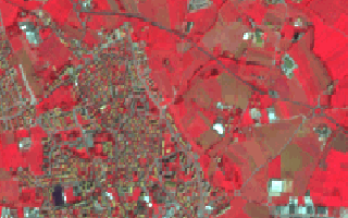 Synthetic data generation for EO model training